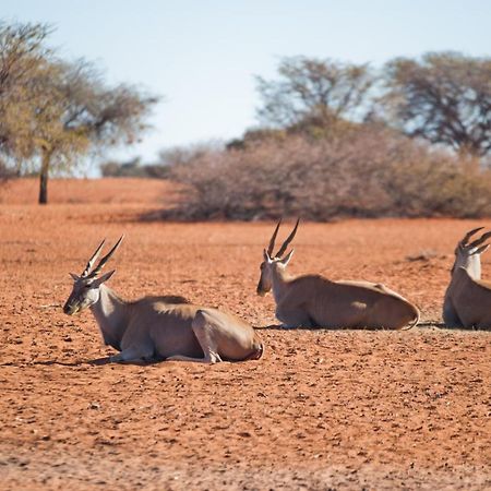 Kalahari Anib Campsite Hardap Екстериор снимка